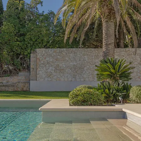 Palace De Lys Villa Cannes